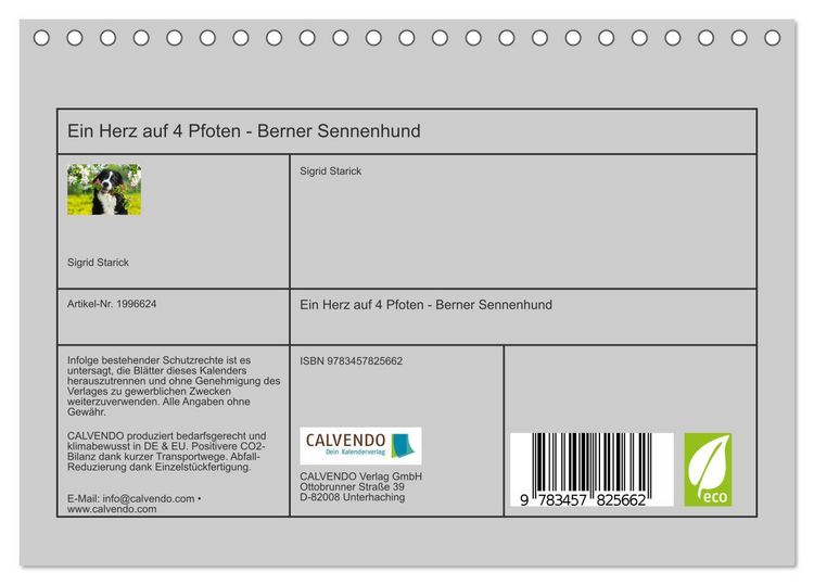 Produktbild: Ein Herz auf 4 Pfoten - Berner Sennenhund (Tischkalender 2026 DIN A5 quer), CALVENDO Monatskalender