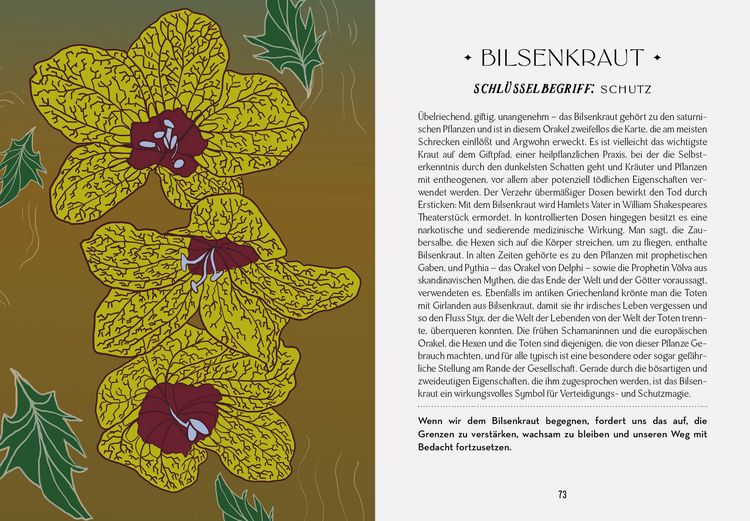 Produktbild: Das Orakel der Schamanen