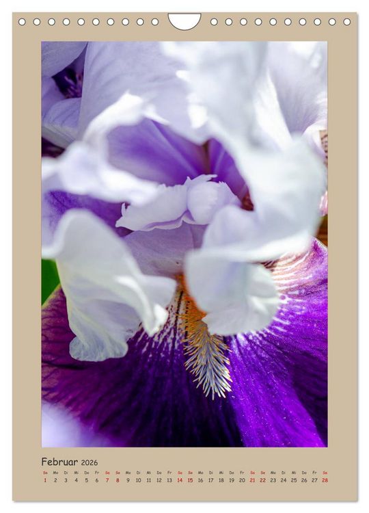 Produktbild: Zauberhafte Iris (Wandkalender 2026 DIN A4 hoch), CALVENDO Monatskalender