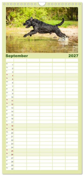 Produktbild: Familienplaner 2027 - Mit dem Riesenschnauzer durch das Jahr mit 5 Spalten (Wandkalender, 21 x 45 cm) CALVENDO
