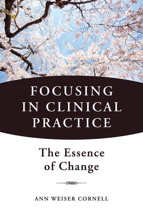 Produktbild: Focusing in Clinical Practice