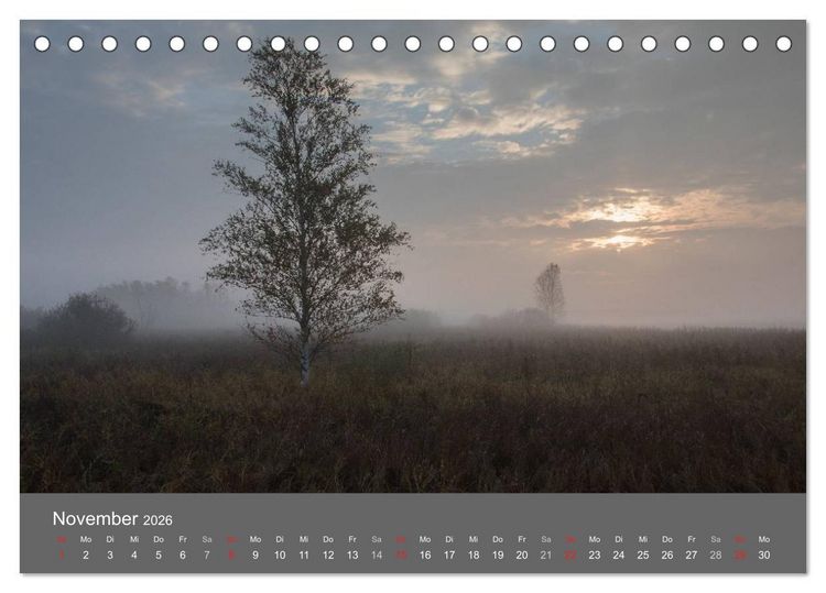 Produktbild: Der Federsee - Vogelparadies in Oberschwaben (Tischkalender 2026 DIN A5 quer), CALVENDO Monatskalender