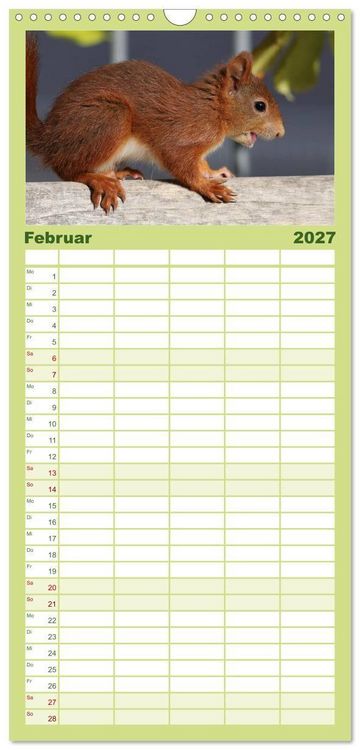 Produktbild: Familienplaner 2027 - Eichh&ouml;rnchen Kinder mit 5 Spalten (Wandkalender, 21 x 45 cm) CALVENDO