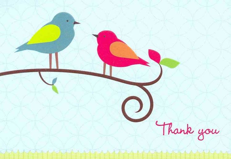 Produktbild: Cd-Birdsong Thank You Not-14pk