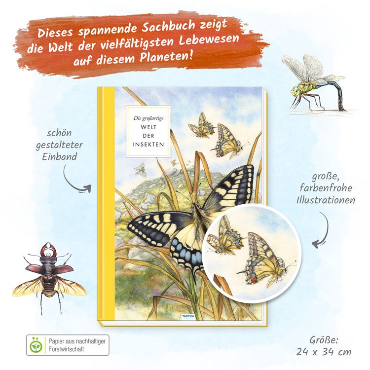 Produktbild: Tr&ouml;tsch Sachbuch Die gro&szlig;artige Welt der Insekten
