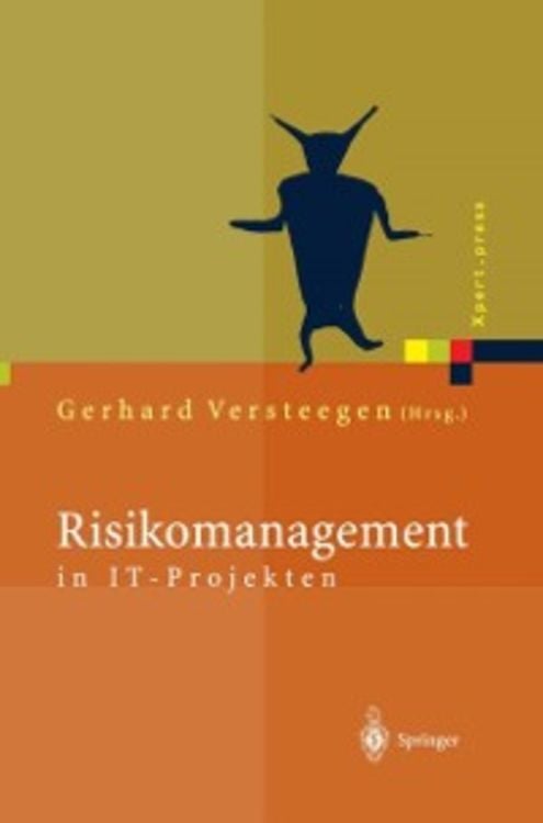 Produktbild: Risikomanagement in IT-Projekten