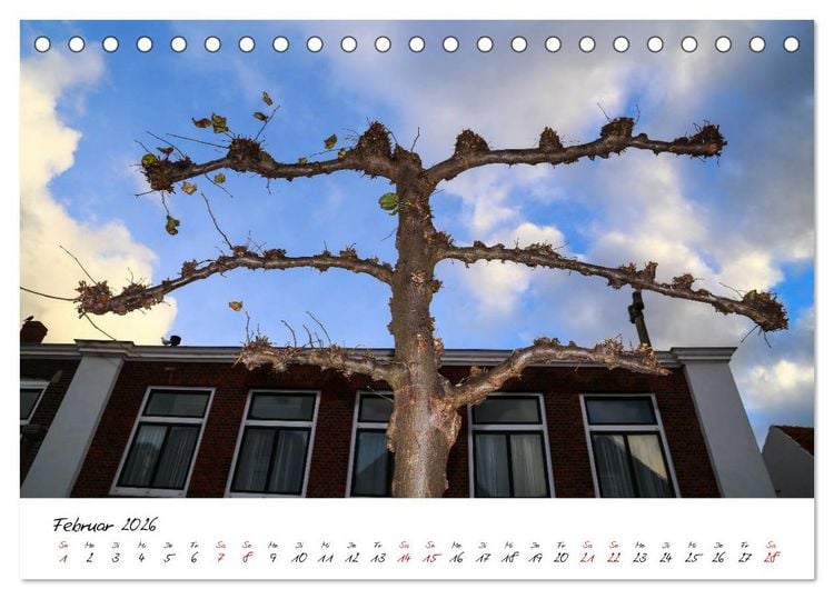 Produktbild: Das Seebad Domburg (Tischkalender 2026 DIN A5 quer), CALVENDO Monatskalender