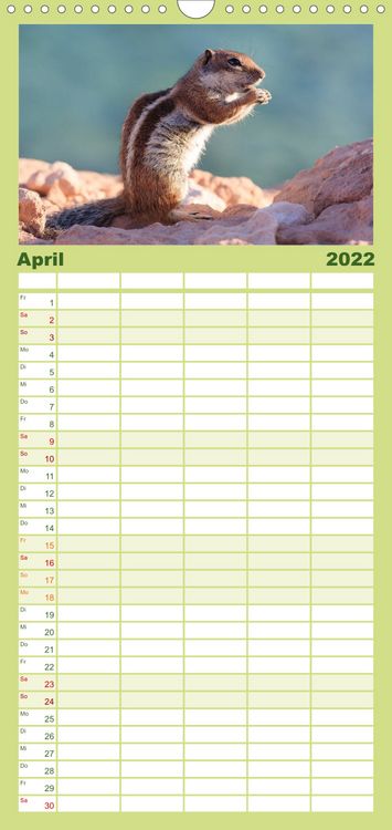 Produktbild: Atlash&ouml;rnchen - Familienplaner hoch (Wandkalender 2022 , 21 cm x 45 cm, hoch)