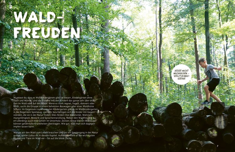 Produktbild: Julius forscht - Im Wald