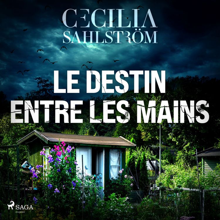 Produktbild: Le Destin entre les mains