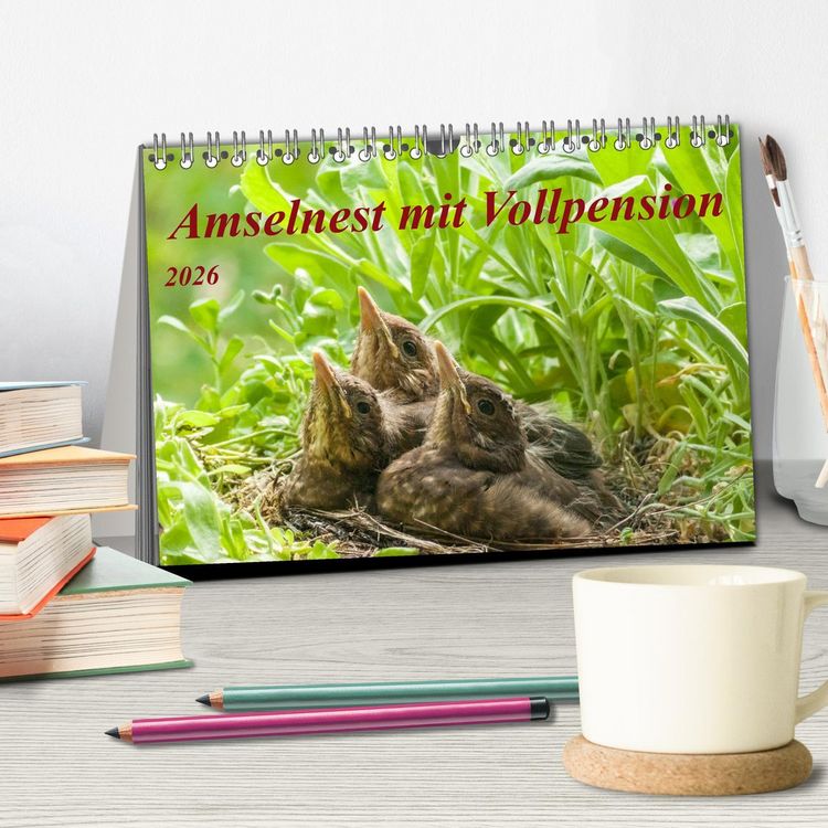 Produktbild: Amselnest mit Vollpension (Tischkalender 2026 DIN A5 quer), CALVENDO Monatskalender