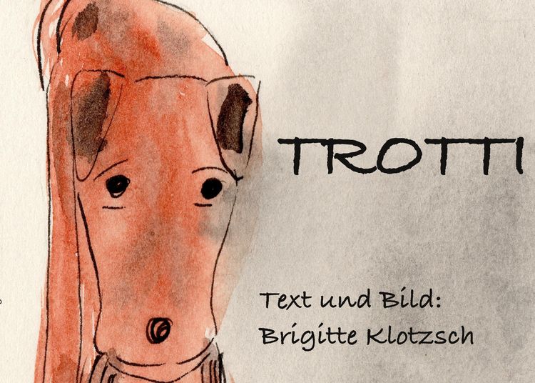Produktbild: Trotti