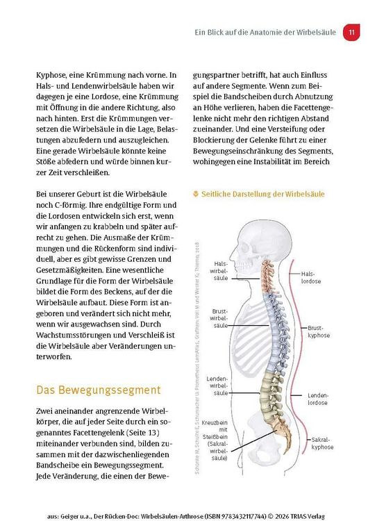 Produktbild: Der R&uuml;cken-Doc: Wirbels&auml;ulen-Arthrose