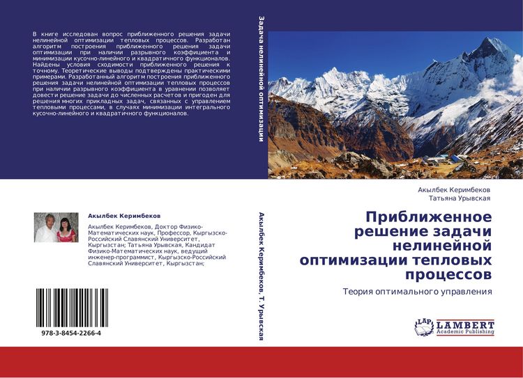 Produktbild: Priblizhennoe reshenie zadachi nelinejnoj optimizacii teplowyh processow