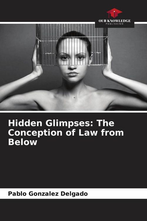 Produktbild: Hidden Glimpses: The Conception of Law from Below