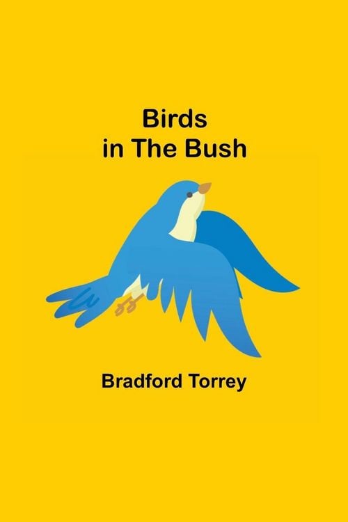 Produktbild: Birds in the Bush