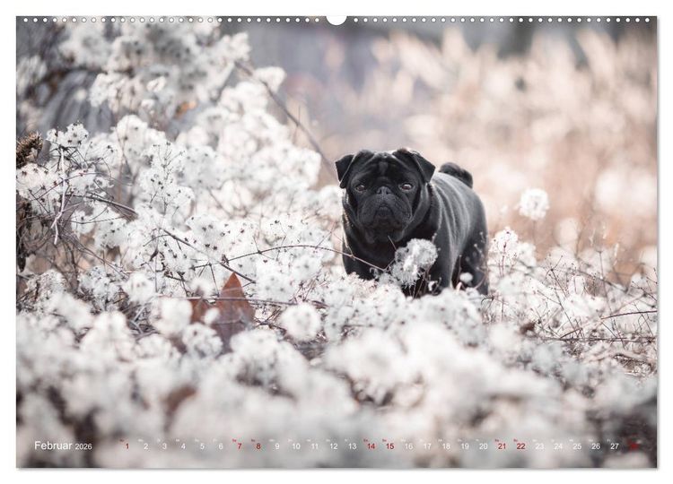 Produktbild: Diesels Welt (Wandkalender 2026 DIN A2 quer), CALVENDO Monatskalender
