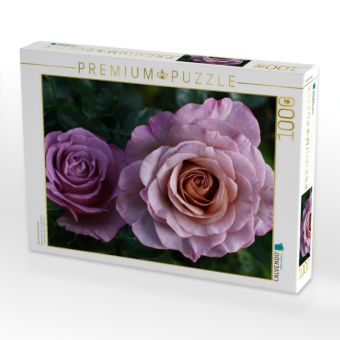 Produktbild: CALVENDO Puzzle Wundersch&ouml;ne Rosen | 1000 Teile Lege-Gr&ouml;&szlig;e 64x48cm Foto-Puzzle f&uuml;r gl&uuml;ckliche Stunden