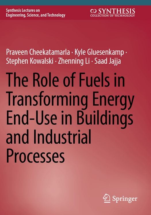 Produktbild: The Role of Fuels in Transforming Energy End-Use in Buildings and Industrial Processes