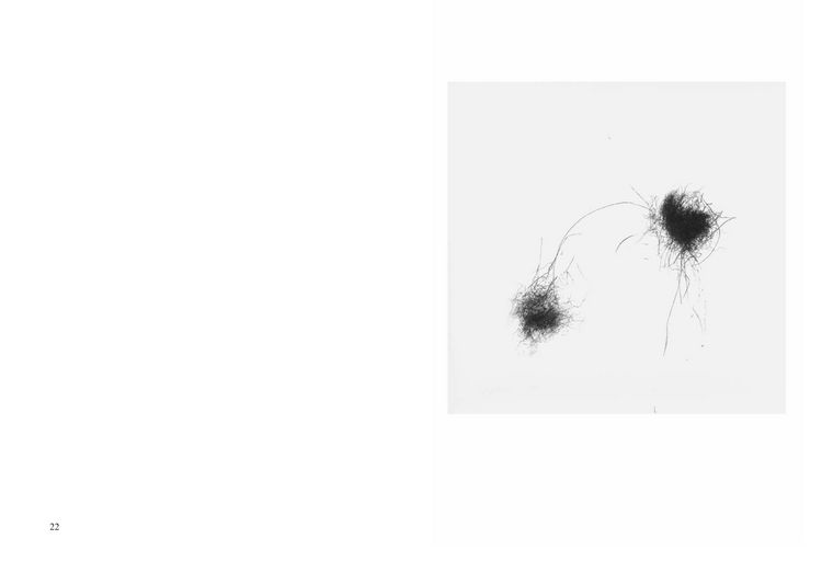 Produktbild: Scores and Sculptures
