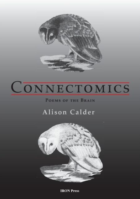 Produktbild: Calder, A: Connectomics