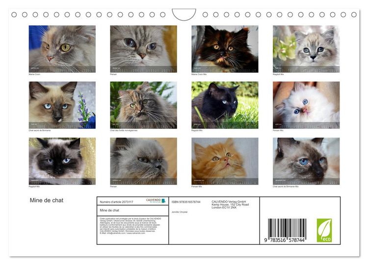 Produktbild: Mine de chat (Calendrier mural 2026 DIN A4 vertical), CALVENDO calendrier mensuel