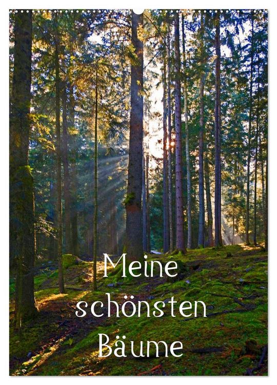 Produktbild: Meine sch&ouml;nsten B&auml;ume (Wandkalender 2026 DIN A2 hoch), CALVENDO Monatskalender