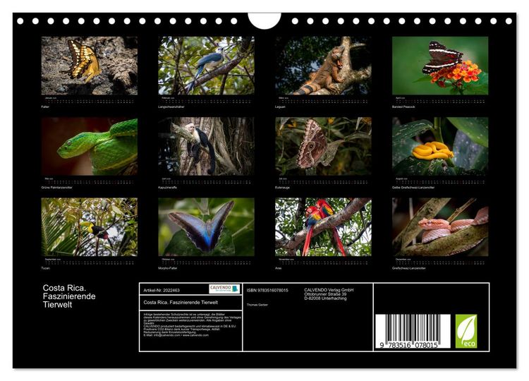 Produktbild: Costa Rica. Faszinierende Tierwelt (Wandkalender 2026 DIN A4 quer), CALVENDO Monatskalender