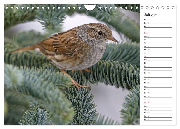 Produktbild: Unsere heimischen Gartenv&ouml;gel (Wandkalender 2026 DIN A4 quer), CALVENDO Monatskalender