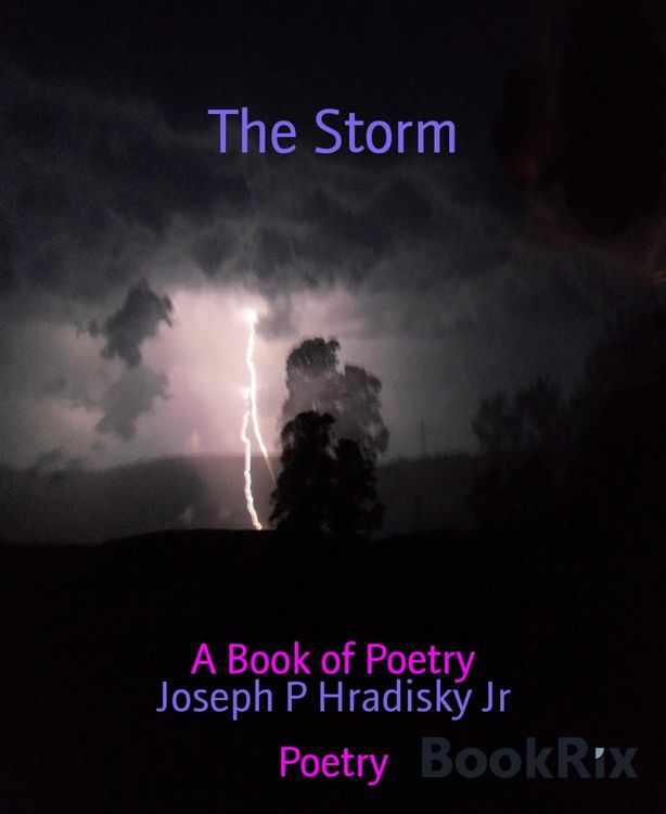 Produktbild: The Storm