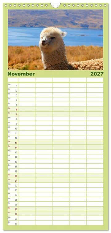 Produktbild: Familienplaner 2027 - Alpakas und Lamas mit 5 Spalten (Wandkalender, 21 x 45 cm) CALVENDO