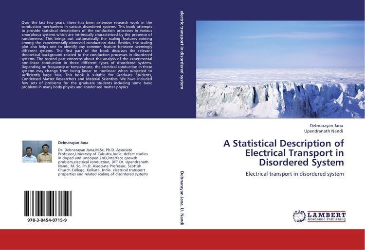 Produktbild: A Statistical Description of Electrical Transport in Disordered System