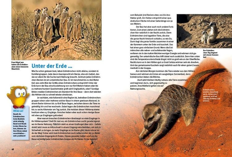 Produktbild: Entdecke die Erdm&auml;nnchen