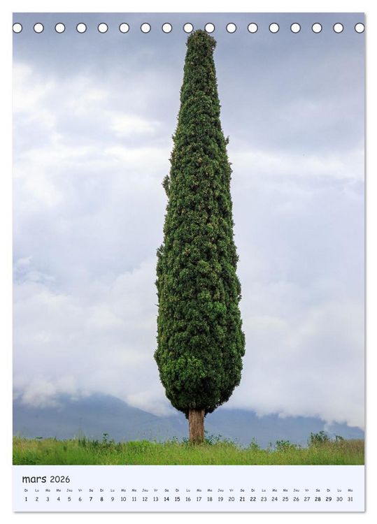 Produktbild: Arbres solitaires (Calendrier de bureau 2026 DIN A5 horizontal), CALVENDO calendrier mensuel