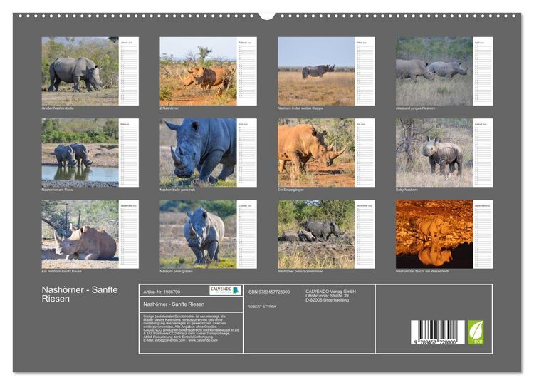 Produktbild: Nash&ouml;rner - Sanfte Riesen (hochwertiger Premium Wandkalender 2026 DIN A2 quer), Kunstdruck in Hochglanz