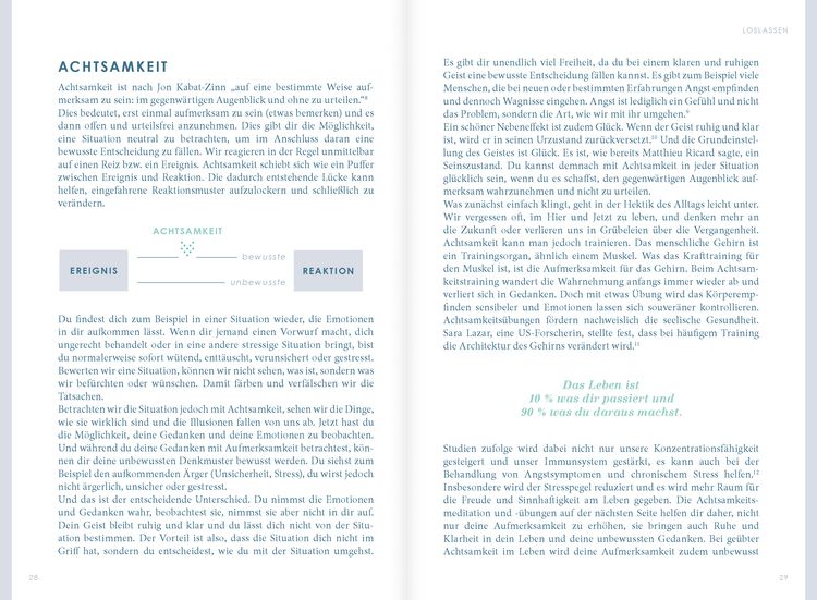 Produktbild: THE NEW YOU - Das Buch, das dein Leben ver&auml;ndert.