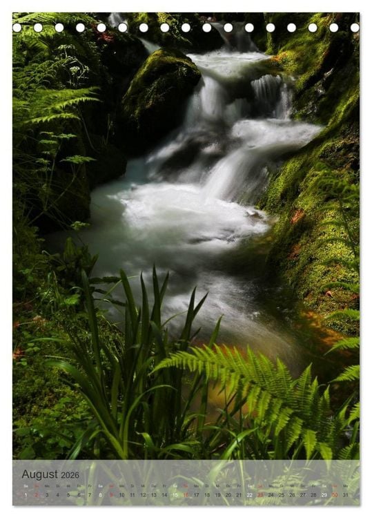 Produktbild: Alles im Fluss - Schwarzwaldwasser (Tischkalender 2026 DIN A5 hoch), CALVENDO Monatskalender