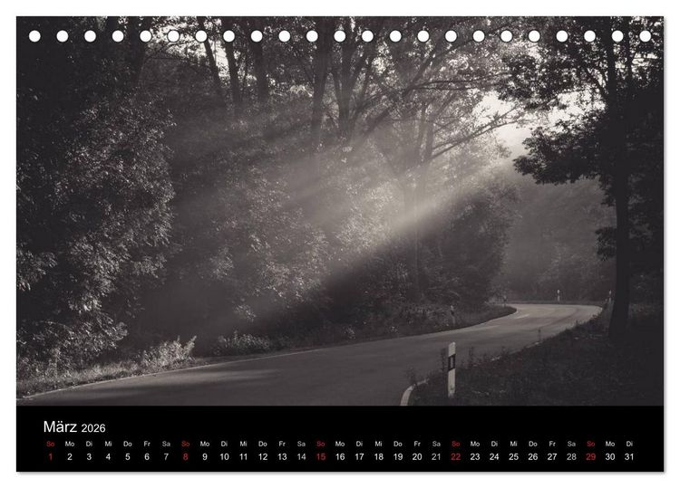 Produktbild: B&auml;ume trees 2026 (Tischkalender 2026 DIN A5 quer), CALVENDO Monatskalender