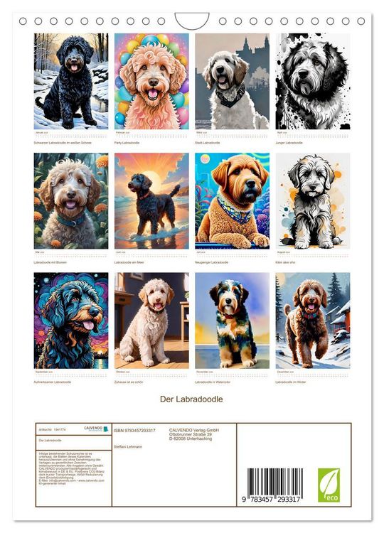 Produktbild: Der Labradoodle (Wandkalender 2026 DIN A4 hoch), CALVENDO Monatskalender