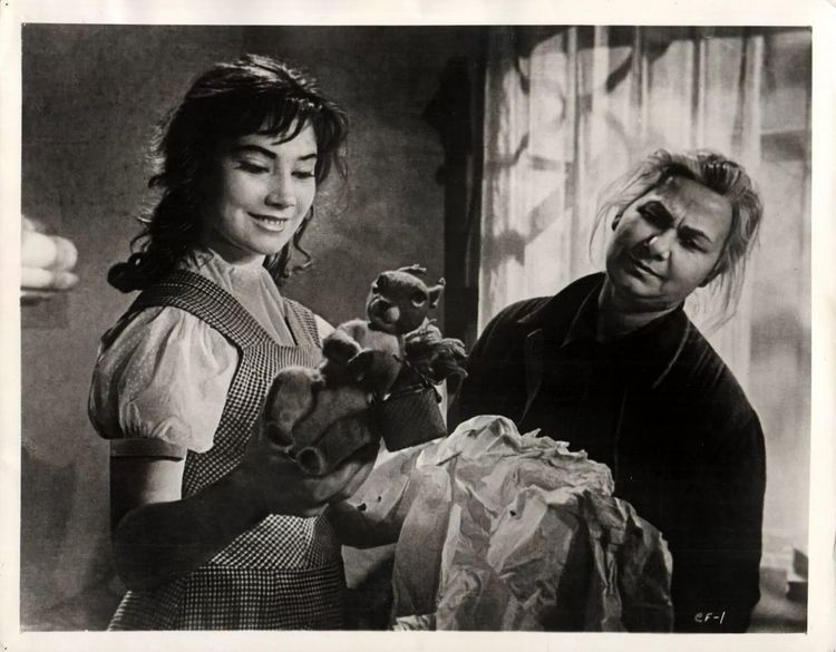 Produktbild: Wenn die Kraniche ziehen - Special Restored Edition (DEFA Filmjuwelen)
