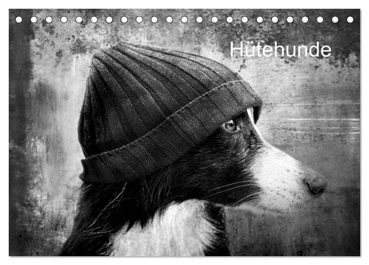 Produktbild: H&uuml;tehunde (Tischkalender 2026 DIN A5 quer), CALVENDO Monatskalender