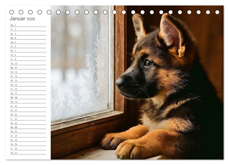 Produktbild: Sch&auml;ferhundliebe - Deine t&auml;gliche Dosis Welpenfreude &ndash; ganz ohne Gassi. (Tischkalender 2026 DIN A5 quer), CALVENDO Monatskalender