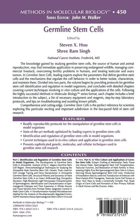 Produktbild: Germline Stem Cells