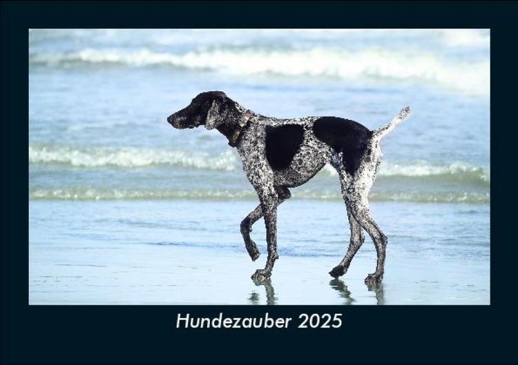 Produktbild: Hundezauber 2025 Fotokalender DIN A5