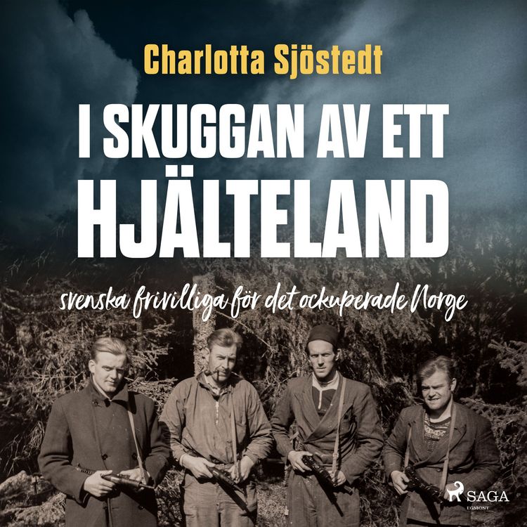 Produktbild: I skuggan av ett hj&auml;lteland