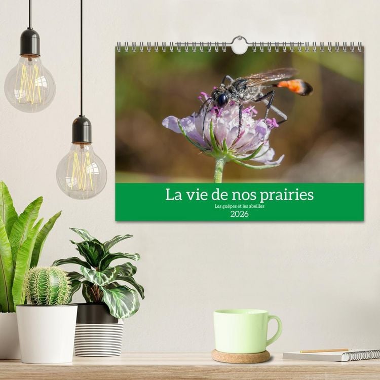 Produktbild: La vie de nos prairies - Les gu&ecirc;pes et les abeilles (Calendrier mural 2026 DIN A4 vertical), CALVENDO calendrier mensuel