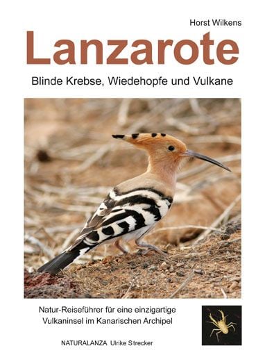Produktbild: Lanzarote - Blinde Krebse, Wiedehopfe und Vulkane