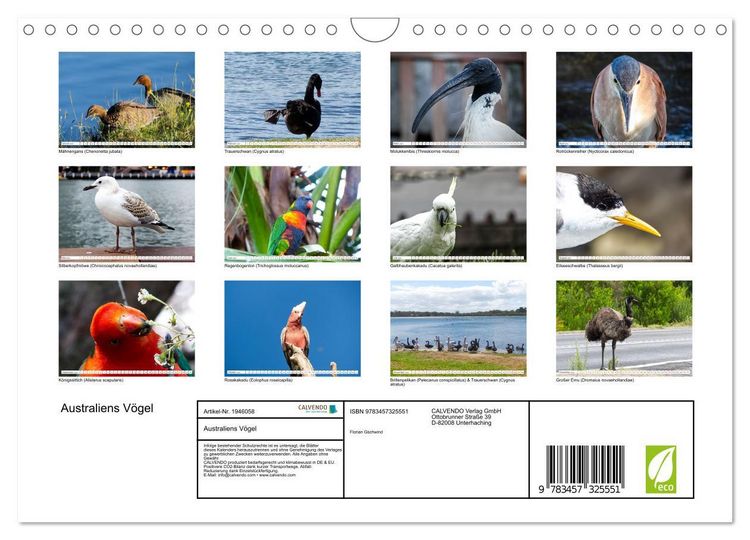 Produktbild: Australiens V&ouml;gel (Wandkalender 2026 DIN A4 quer), CALVENDO Monatskalender