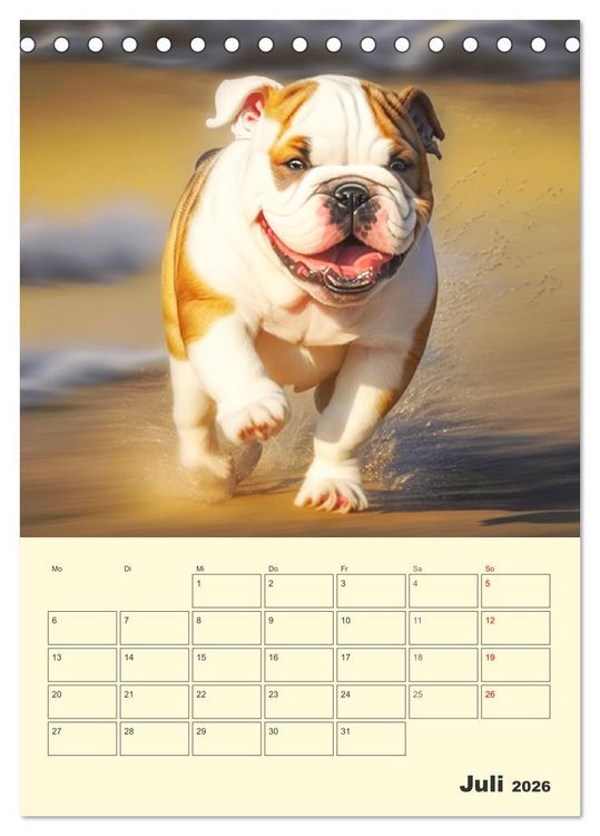 Produktbild: English Bulldogs. Fr&ouml;hliche Dickk&ouml;pfe mit Charakter (Tischkalender 2026 DIN A5 hoch), CALVENDO Monatskalender
