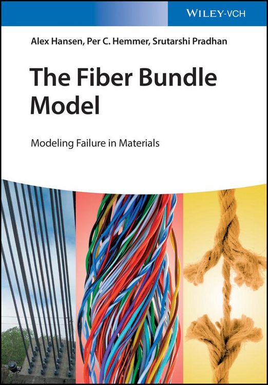 Produktbild: The Fiber Bundle Model